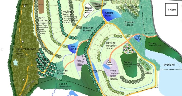 Equine Permaculture Design: Part 1 Natural Systems