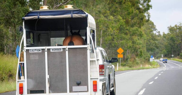 Transport-related Pneumonia: Can we reduce the risk?