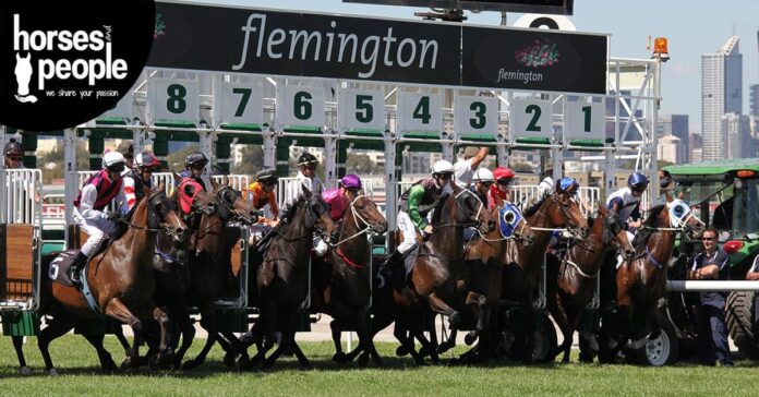 Melbourne Cup. Starting gate line up at Flemington Racetrack, the venue of the Melbourne Cup. Will you watch The Cup?