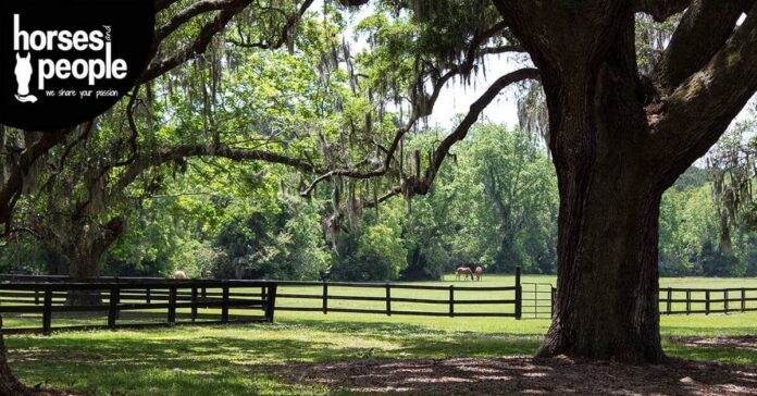 1811 Permaculture_0 Horse property. property improvements for all budgets