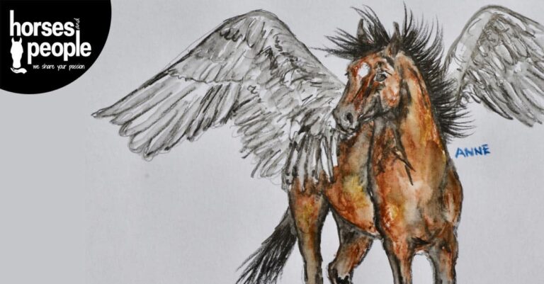 Green Pony Blog: A Hell of a Ride