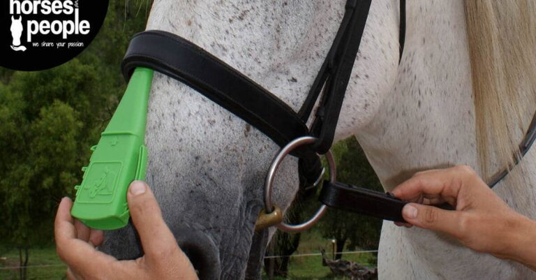 Equitation Scientists Challenge ‘Misinformation’ Presented at WHW Conference