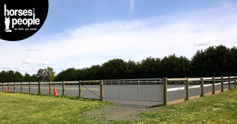 Riding Arenas and Training Yards: Part 1
