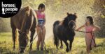 Louise Sedgman has captured a moment of family fun as her daughters Grace and Emma play under the sprinklers with their ‘worth-their-weight-in-gold’ ponies Petal and Midnight on a hot summer’s evening.