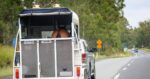 Horse float with bay horse on board. Horse transport. Emergency Evacuation.