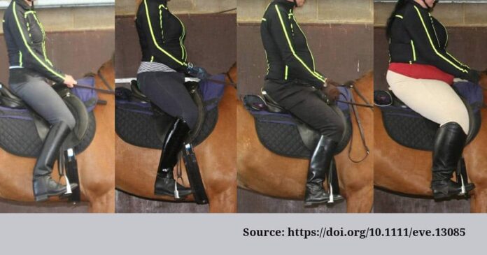 Weight study AHT Comparing rider weight. Horse-rider weight.