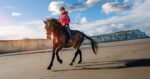 Girl riding bay horse on beach. Stop procrastinating, make it happen.