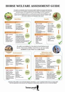 Horse Welfare Assessment Guide