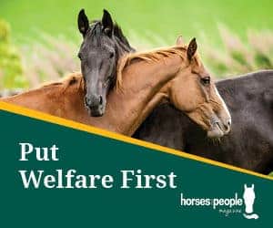 Put Welfare First with Horses and People