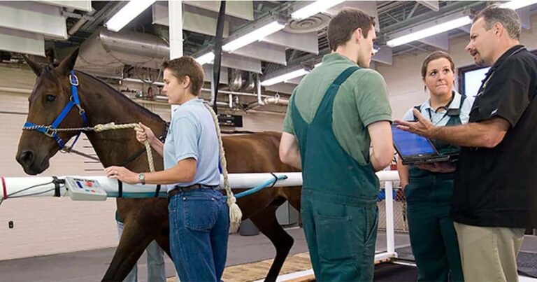 Diagnosing Mild Equine Asthma