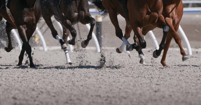 Predicting Catastrophic Racehorse Injuries a Step Closer