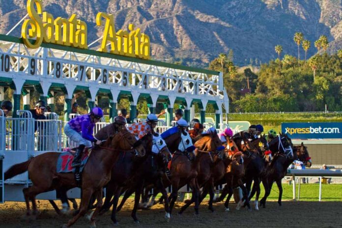 The starting gates at Santa Anita Park. California's horseracing welfare reform. Santa Anita Park reforms.