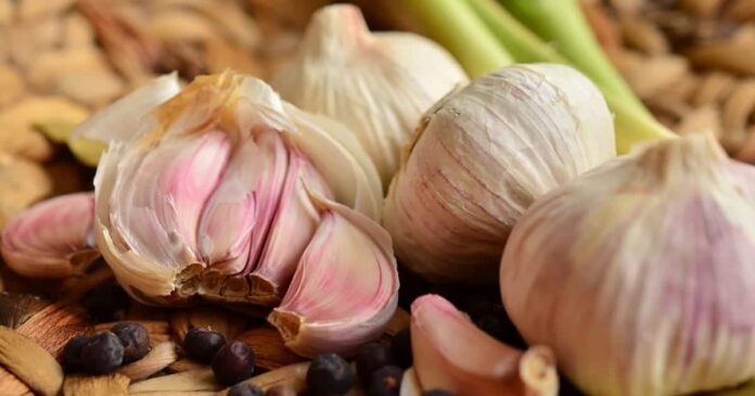 Garlic clovers and garlic bulbs.