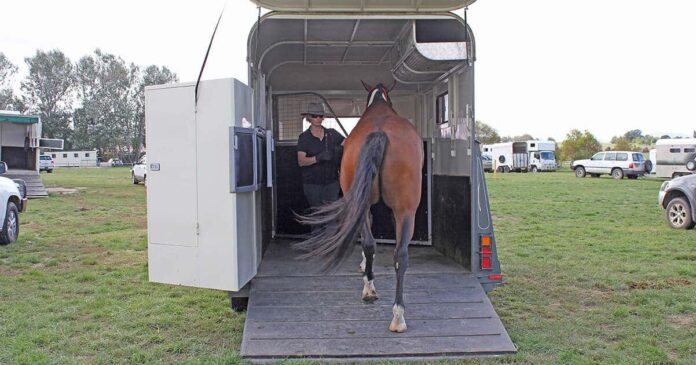 1705 Trailer Loading Training your horse to load - easily! Loading a horse onto a horse float easily. Stress free trailer loading
