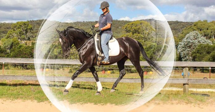 1712 Confidence Feature Image Kate Fenner riding her horse within the engagement bubble. The confident horse. Riding confidence and online horse training