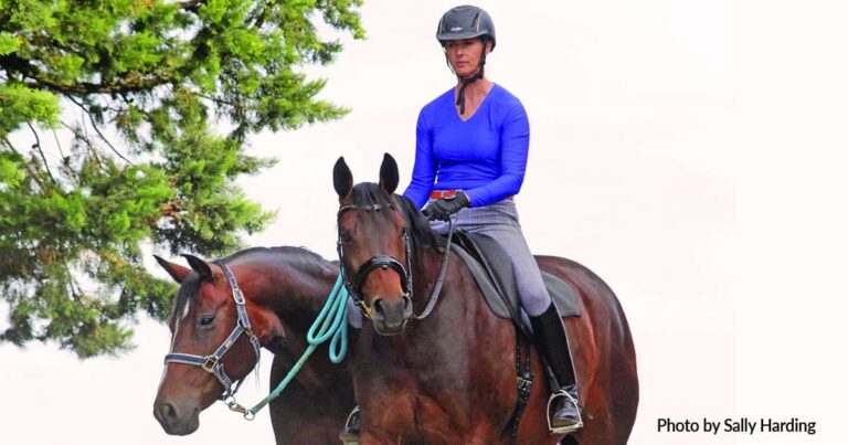 Why the long face: just how risky is horse riding?