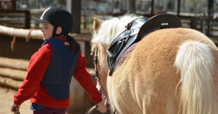 riding school Young horse rider leading her pony