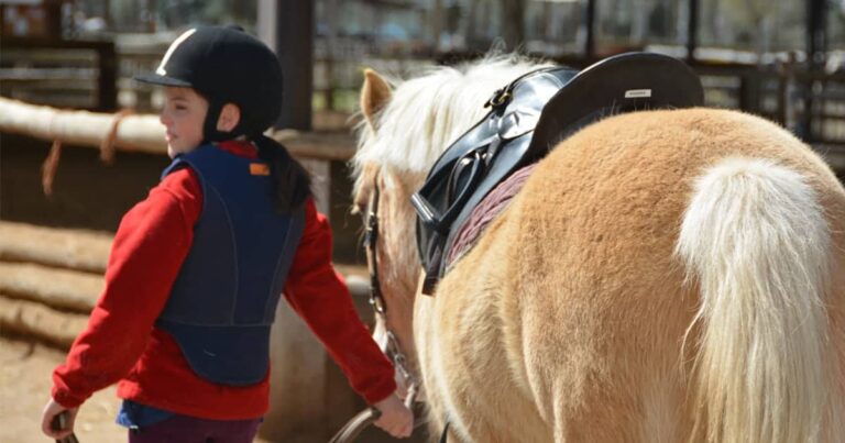 Young Riders’ Vision for Riding Schools
