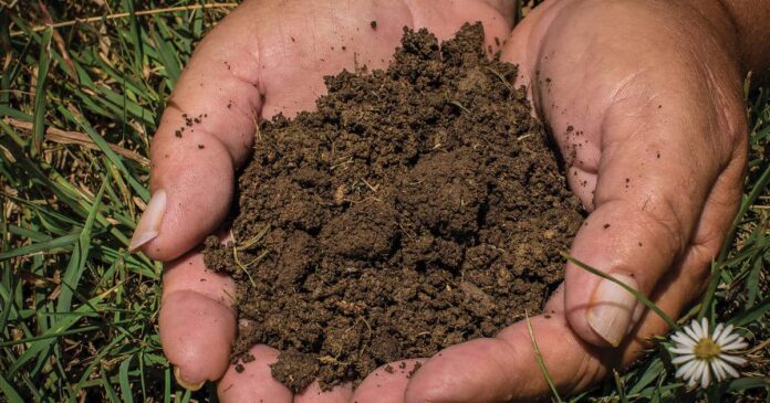 It's all about soil. Healthy soil yields healthy pasture. Facts about soil