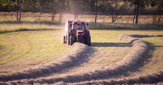 Making hay Making hay, baling round bales