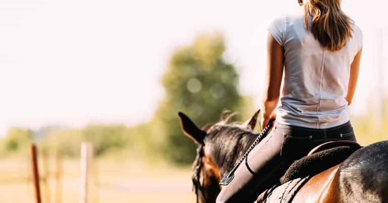 In the court of public opinion, would your equestrian lifestyle win the trial?