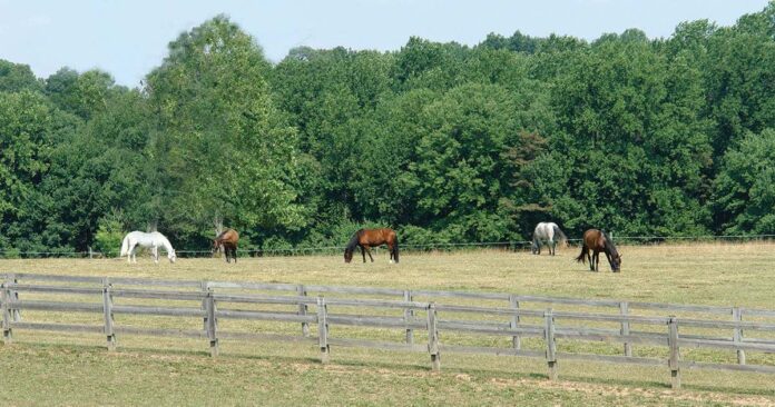 Horse owners need to be grass farmers. land management