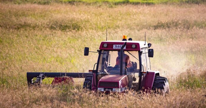 Managing Resources Managing Resources, cutting pasture hay, rhodes grass