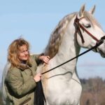 SH Acupuncture Integrated Therapies and Training