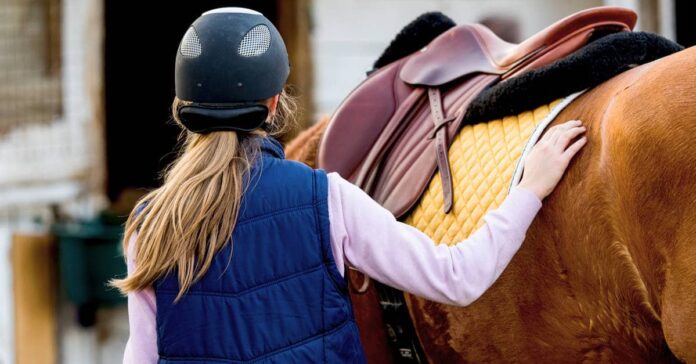 Helmet riding interaction horse-human interactions. Safety in the horse industry