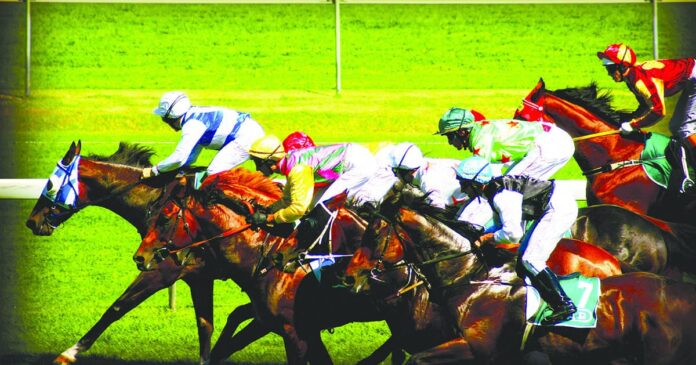 In a race without whips there would still be a winner. Longer careers would help reduce slaughter. Slaughter of racehorses