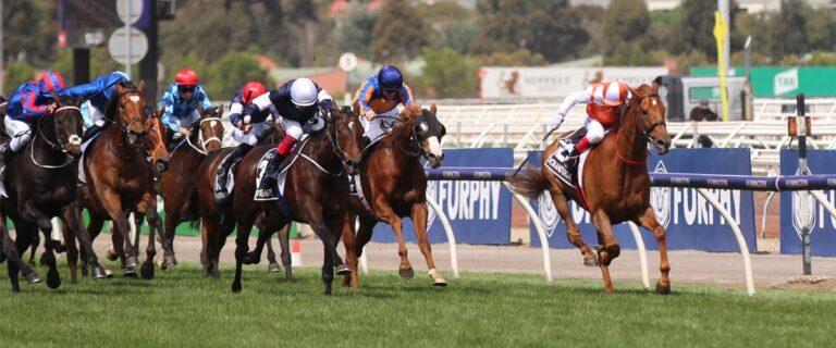 Research shows whipping horses doesn’t make them run faster, straighter or safer — let’s cut it out