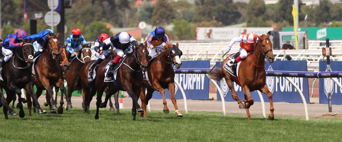 The 2019 Melbourne Cup finish was hotly contested and has raised more questions about the use of the whip in racing.