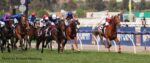 The 2019 Melbourne Cup was hotly contested and the use of the whip has come into questoin