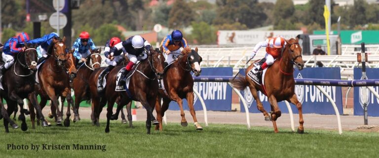 Racing Victoria’s Calls for Limited Whip Reform
