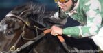 Jigger in use by jockey Roman Chapa by Coady Photography. Jiggers in horse racing