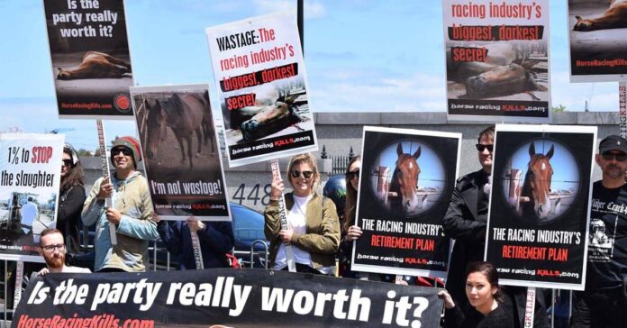 Protesters at the horse races call out wastage
