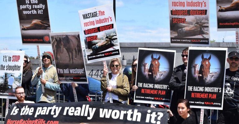 Horse racing must change, or the court of public opinion will bury it