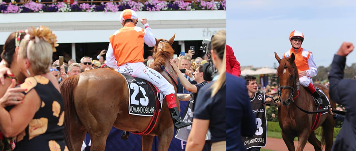 The 2019 winner of the Melbourne Cup, Vow And Declare shows evidence of whip marks.