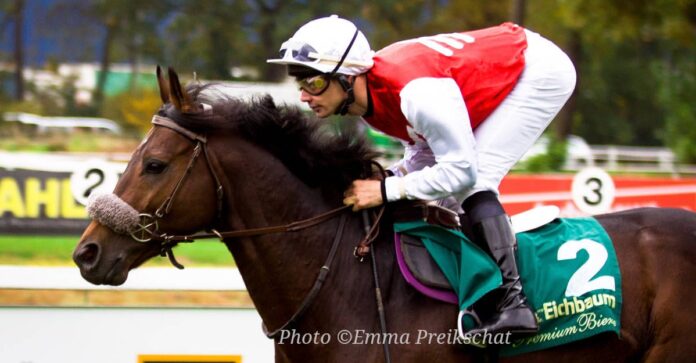 A racehorse ridden bit-free has a much easier time breathing.