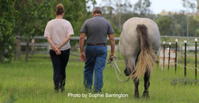 Photo by Sophie Barrington Benefits of being around horses: Horses can play a beneficial role in improving mental health and wellbeing, but they can also offer more.