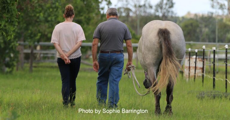 The Overlooked Benefits of Being Around Horses