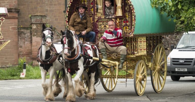 Gypsies and Travellers Understand Horse Welfare