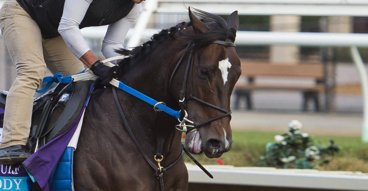 A racehorse during a workout in the USA being ridden with a very strong rein tension leading to an open mouth. 
