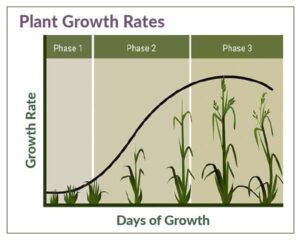 Table of Plant growth phases