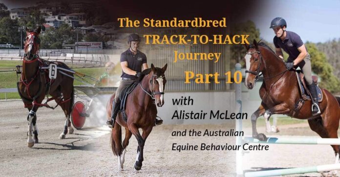 Standardbred Series Pt10 Alistair McLean of the Australian Equine Behaviour Centre, documents the re-training of Ideal Guy, a Standardbred harness racehorse. The Training Principles