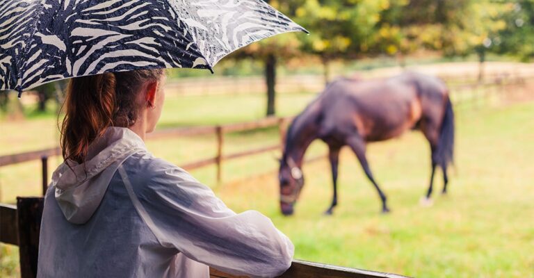 When the Drought Breaks… Hold Your Horses!