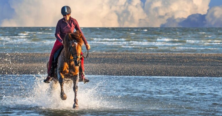 It’s official: Horses are good for us, they get us close to nature