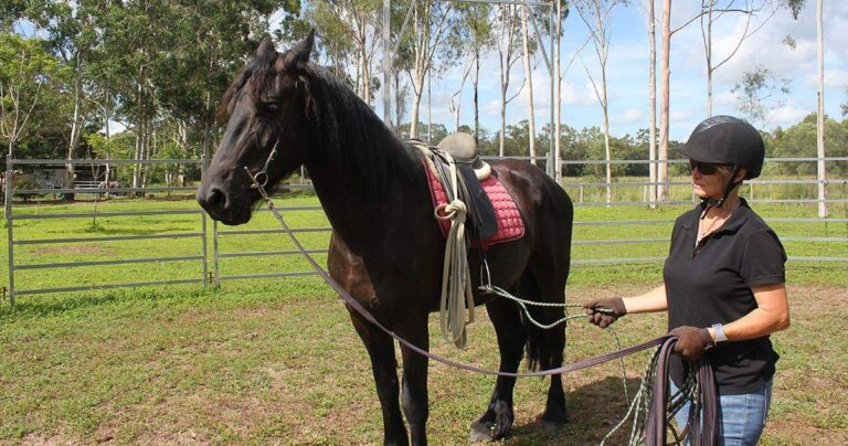 Starting Romeo Part 7: Saddle Up!