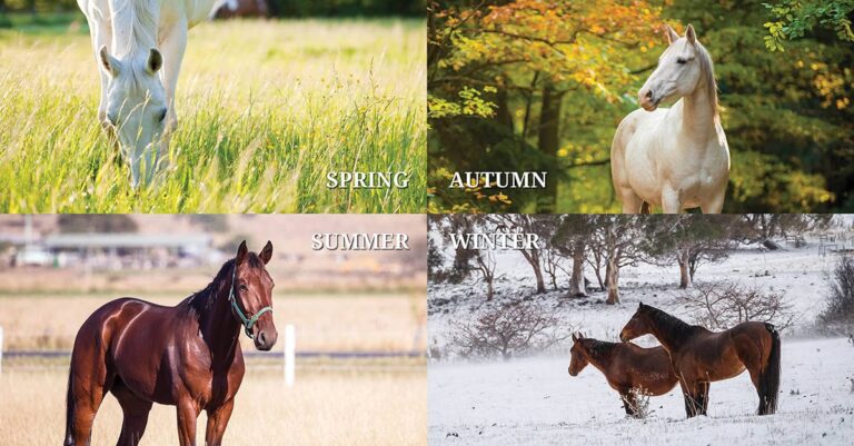 Small Strongyle Worm Management – Seasonal Guide