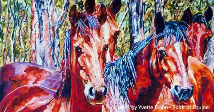 Barmah Brumbies Original artwork of Barmah Brumbies by Yvette Frahn, Spirit of Equine